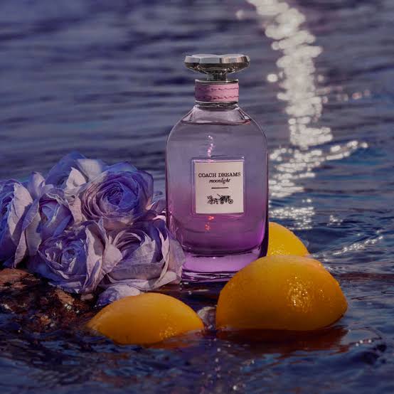 Coach Dreams Moonlight perfume